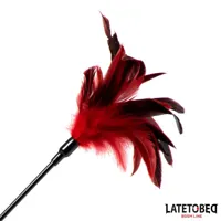 2-in-1-paddle-with-feather-8436615009527-cl8436615009527.jpg