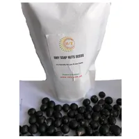 RMY 500gram Soap Nuts Seeds With Stand Up Pouches - image 2