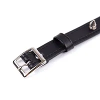 collar-with-spikes-adjustable-43-cm-black-843658379415-cl843658379415.jpg