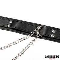 collar-with-nipple-clamps-8436615009336-cl8436615009336.jpg