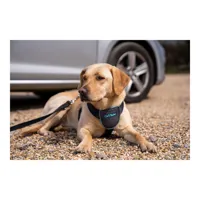 dog-harness-company-of-animals-carsafe-black-xs-s6103613-bbs6103613.jpg