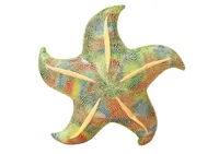 Maskotka-Pluszowa-Rozgwiazda-Zielona-Poduszka-45-cm__1107698__1200.jpg