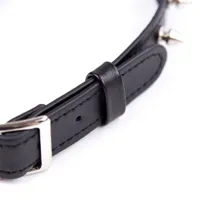 collar-with-spikes-adjustable-43-cm-black-843658379415-cl843658379415.jpg