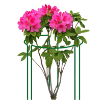 eca518aea4672dcc28de985eec802f4f.png