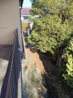 IMG_20260211_115657.jpg
