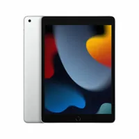 tablet-apple-ipad-silver-a13-256-gb-m0802120-bbm0802120.jpg