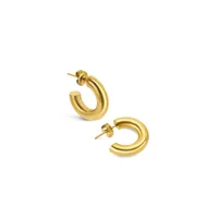 ladies-earrings-one-jewels-ojeep18g-golden-s72140836-bbs72140836.jpg