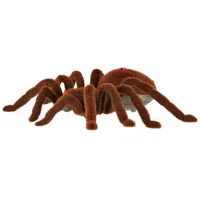 Pajak-TARANTULA-Zdalnie-Sterowany-robot-na-pilota-PILOT__1037548__1200.jpg