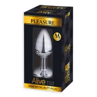anal-plug-with-black-jewel-size-m-a-70446-cla-70446.jpg