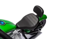 Motor-Na-Akumulator-A9902-36V-Zielony__1105941__1200.jpg