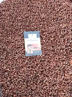 Soap Berry-Wash Nut-Washnut-Soapnut – Soapberries, RMY Soap Nuts Factory,Are the  soap nuts... - image 3