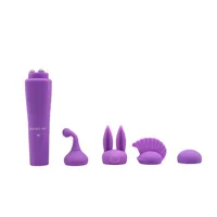stimulator-with-4-heads-sweet-purple-cn-100652163-clcn-100652163.jpg