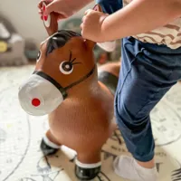WOOPIE-Skoczek-Gumowy-do-Skakania-Konik-Pompka__1258581__1200.jpg