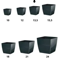 d2ffbbe392ee22c3db2715419bfda82d.jpg