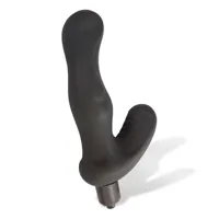 ametrine-anal-prostate-p-spot-vibrator-ad-511-clad-511.jpg