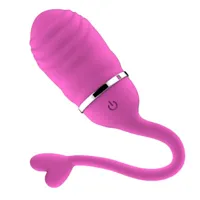 vibrating-egg-with-remote-control-odise-usb-silicone-pink-in-026-clin-026.jpg
