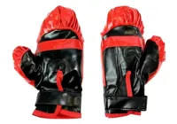 Zestaw-Bokserski-Duzy-69-21-cm-worek-rekawice__797515__1200.jpg