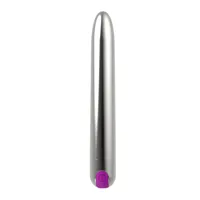 renee-vibe-10-vibrating-functions-185-cm-usb-silver-lt-687-cllt-687.jpg