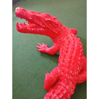 Alligator_in_Rot-1.webp