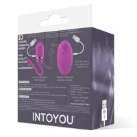 vibrating-egg-with-remote-control-odise-usb-silicone-pink-in-026-clin-026.jpg