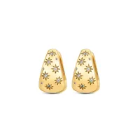 ladies-earrings-one-jewels-ojeep58g-golden-s72140861-bbs72140861.jpg
