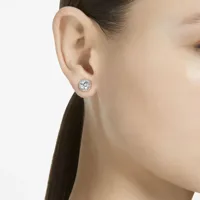 ladies-earrings-swarovski-5636269-s7291061-bbs7291061.jpg
