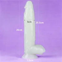 dildo-lumino-10-blue-light-lo-lv319023-cllo-lv319023.jpg