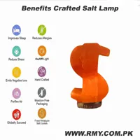 Pink Dollar Sign Salt Lamps 6″ Unique Crystal Glow for Wealth, Wellness, and Positive Energy. - image 2