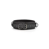 collar-with-leash-black-et370blk-clet370blk.jpg