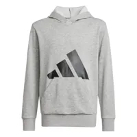 hooded-sweatshirt-for-girls-adidas-big-logo-french-terry-hd-light-grey-s64205224-bbs64205224.jpg