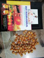 RMY Soapnuts Shells in Four Seal Packaging ,100g,250g,500g,750g,1kg - image 3