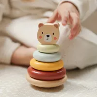 WOOPIE-GREEN-Pudelko-Sorter-Bo-3w1-Klocki-Piramidka-Slonik-FSC__1254079__1200.jpg