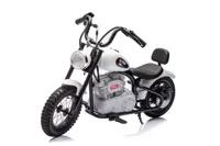 Motor-Na-Akumulator-A9902-36V-Bialy__1105867__1200.jpg