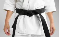 RMY Hapkido Black Belts,RMY Briliant Quality Hapkido Belts,RMY Hapkido Belts for Beginners,Pofess... - image 3