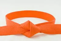 RMY Judo Orange Belts,RMY Judo Belts - image 3