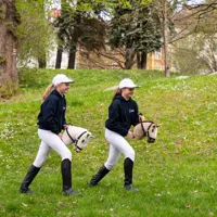 Hobby-Horse-Skippi-kon-na-kiju-Karmel__1231592__1200.jpg