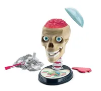 Naukowa-Zabawa-Zestaw-Zwariowana-Anatomia-Jezyk-Polski-Clementoni-50697__1250503__1200.jpg