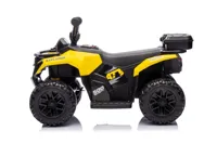 Quad-Na-Akumulator-GTS1155-Zolty__1111556__1200.jpg