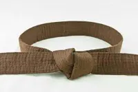 RMY Taekwondo Brown Belts,RMY Taekwondo Belts - image 3