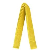RMY Hapkido Yellow Belts,RMY Hapkido Belts for Begginers,Professionals etc - image 3