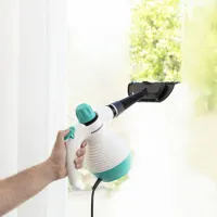 multi-purpose-9-in-1-hand-held-steamer-with-accessories-steany-innovagoods-035-l-3-bar-1000w-v0103132.jpg