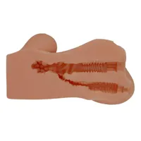 hanna-masturbator-vagina-and-anus-bm-009247n-1-clbm-009247n-1.jpg