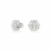ladies-earrings-swarovski-5691483-s72102156-bbs72102156.jpg