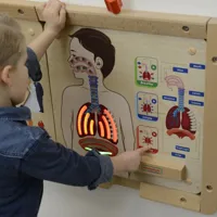 MASTERKIDZ-Tablica-Edukacyjna-Uklad-Oddechowy-Montessori__1271709__1200.jpg