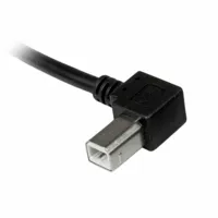 usb-a-to-usb-b-cable-startech-usbab2ml-black-s55057267-bbs55057267.jpg