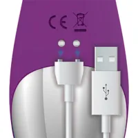 no-eleven-vibrator-with-bunny-g-spot-and-pulse-function-magnetic-usb-silicone-ac-227-clac-227.jpg
