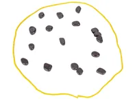 Gra-Szachy-Kamienie-Magnetyczne-Planszowa-Magnetyczna-Gra-Strategiczna-Magnetic-Chess-Podkladka__1216518__1200.jpg