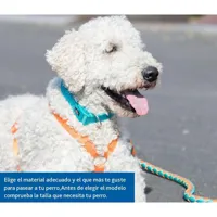 dog-harness-trixie-new-premium-red-s0800684-bbs0800684.jpg