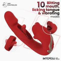 mouty-vibe-with-biting-and-flipping-with-app-in-497-clin-497.jpg