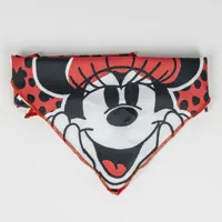 welcome-gift-set-for-dogs-minnie-mouse-red-28-x-30-x-68-cm-5-pieces-s0739913-bbs0739913.jpg